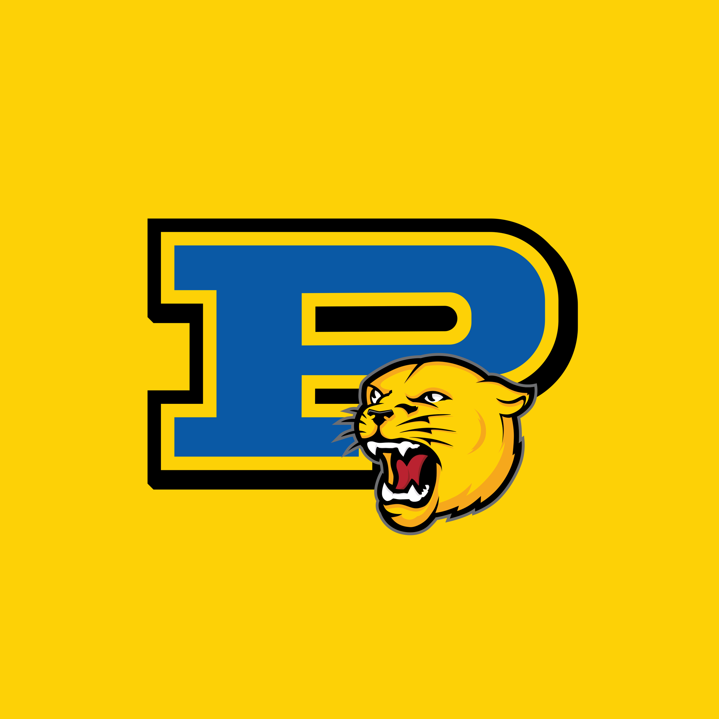 Pflugerville_Panthers